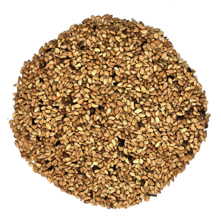 Rosehip seeds