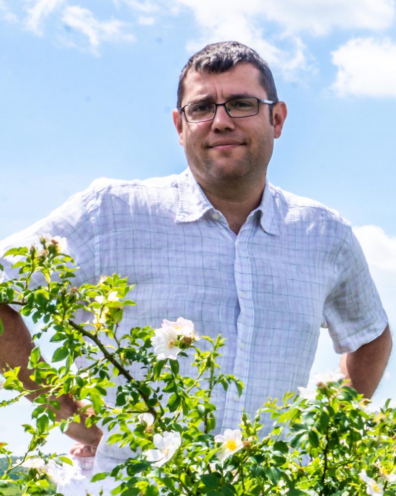 dr peter rybaltovszki